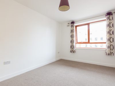 New Carpet 1 New Carpet 1