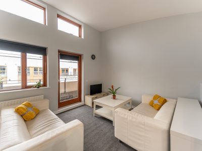 34 Scarlet Row - Living Room (1 of 3) - Photo- Ben Ryan