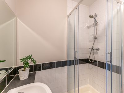 42 Segrave - Bedroom 1 EnSuite (4 of 5) - Photo- Ben Ryan